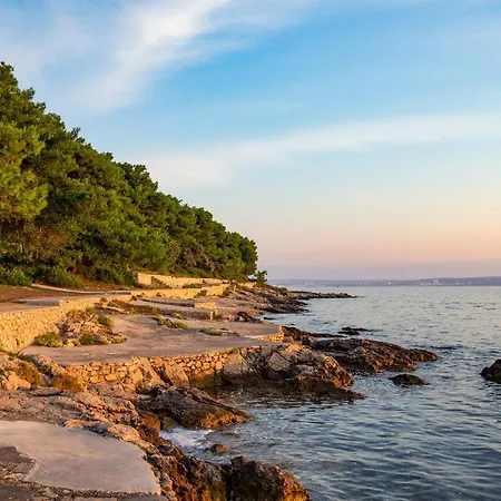 Zelena Punta Daire Kukljica