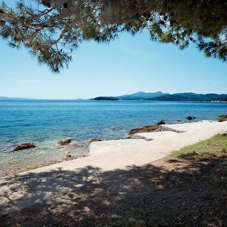 Zelena Punta