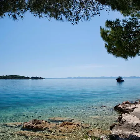 Zelena Punta Apartman *