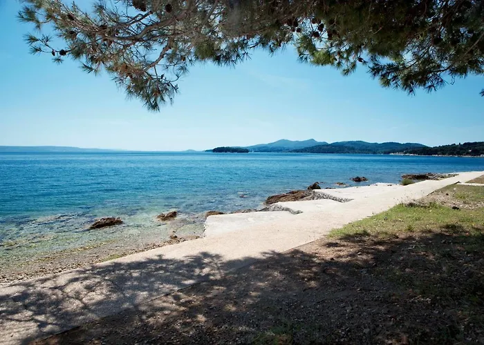 Zelena Punta