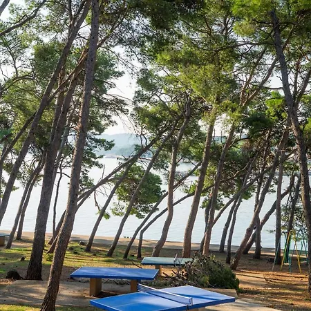 Zelena Punta 公寓 *